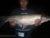 Selectie capturi din 2011
